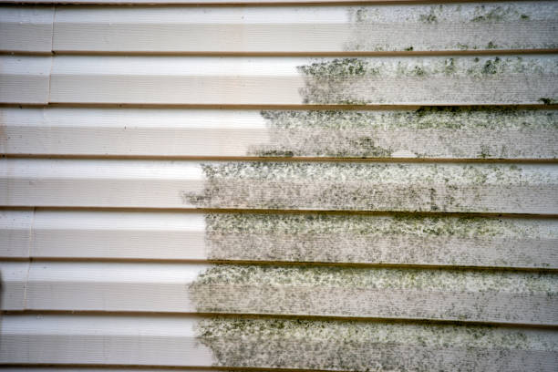 How To Choose The Right Materials for Your Siding Installation in 'Wickliffe, OH